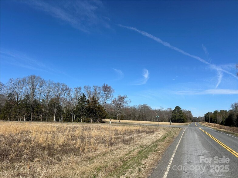 Intersection Falls Rd and Bridgewater rd, Rock Hill, SC à vendre - Plan de site – Image 2 sur 8