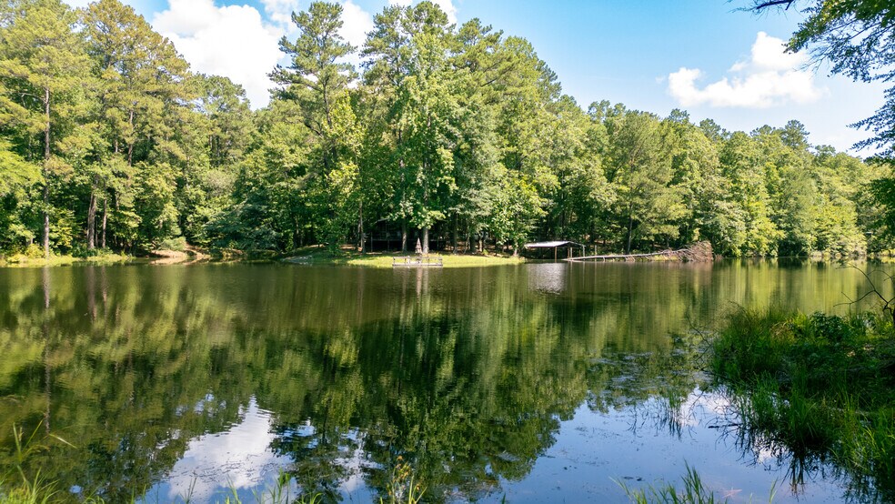 17796 Dry Branch loop, Northport, AL à vendre - Autre – Image 1 sur 86