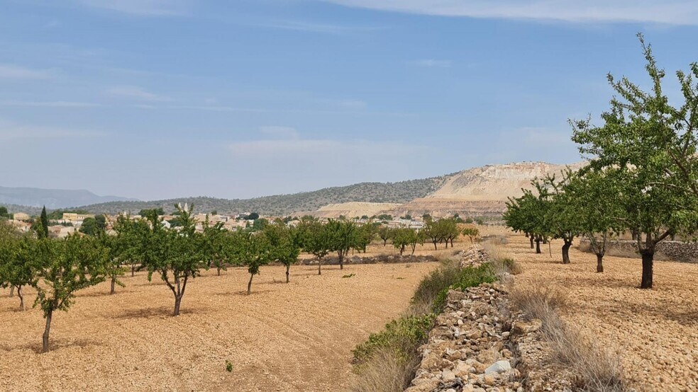 Terrain dans Algueña, Alicante à vendre - Aérien – Image 3 sur 8