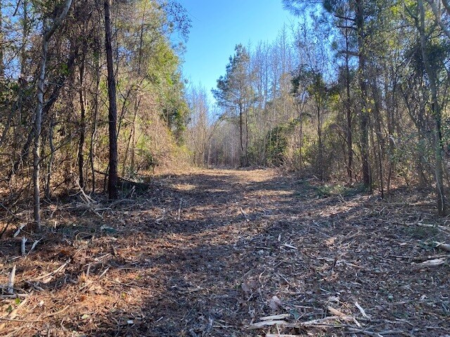 Fisher Landing Rd, Jarvisburg, NC à vendre - Photo de l’immeuble – Image 2 sur 18