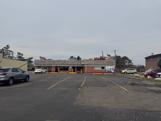 Plus de détails pour 3065-3095 Crooks Rd, Troy, MI - Local commercial à louer