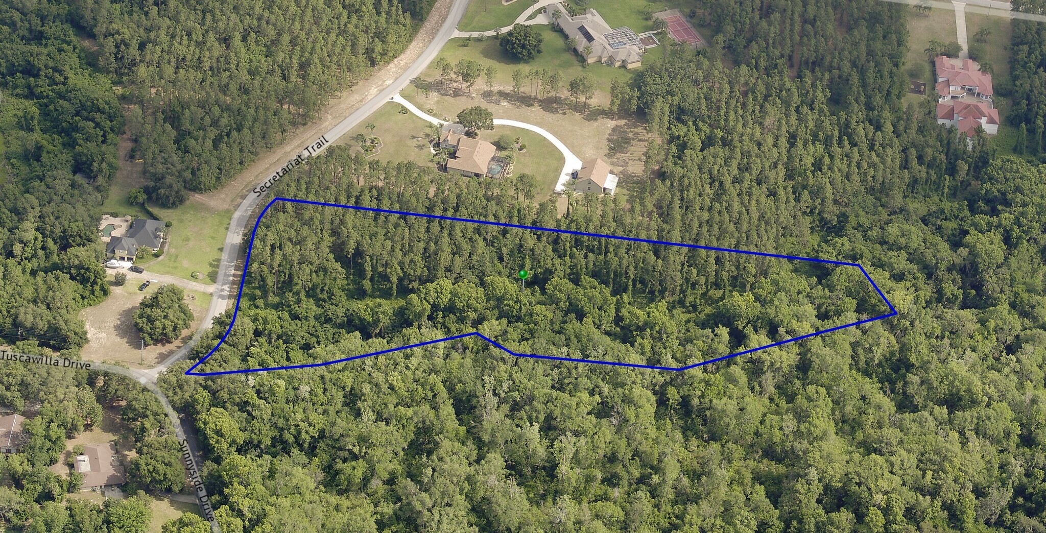 31004 Secretariat Trl, Leesburg, FL à vendre Photo principale– Image 1 sur 18