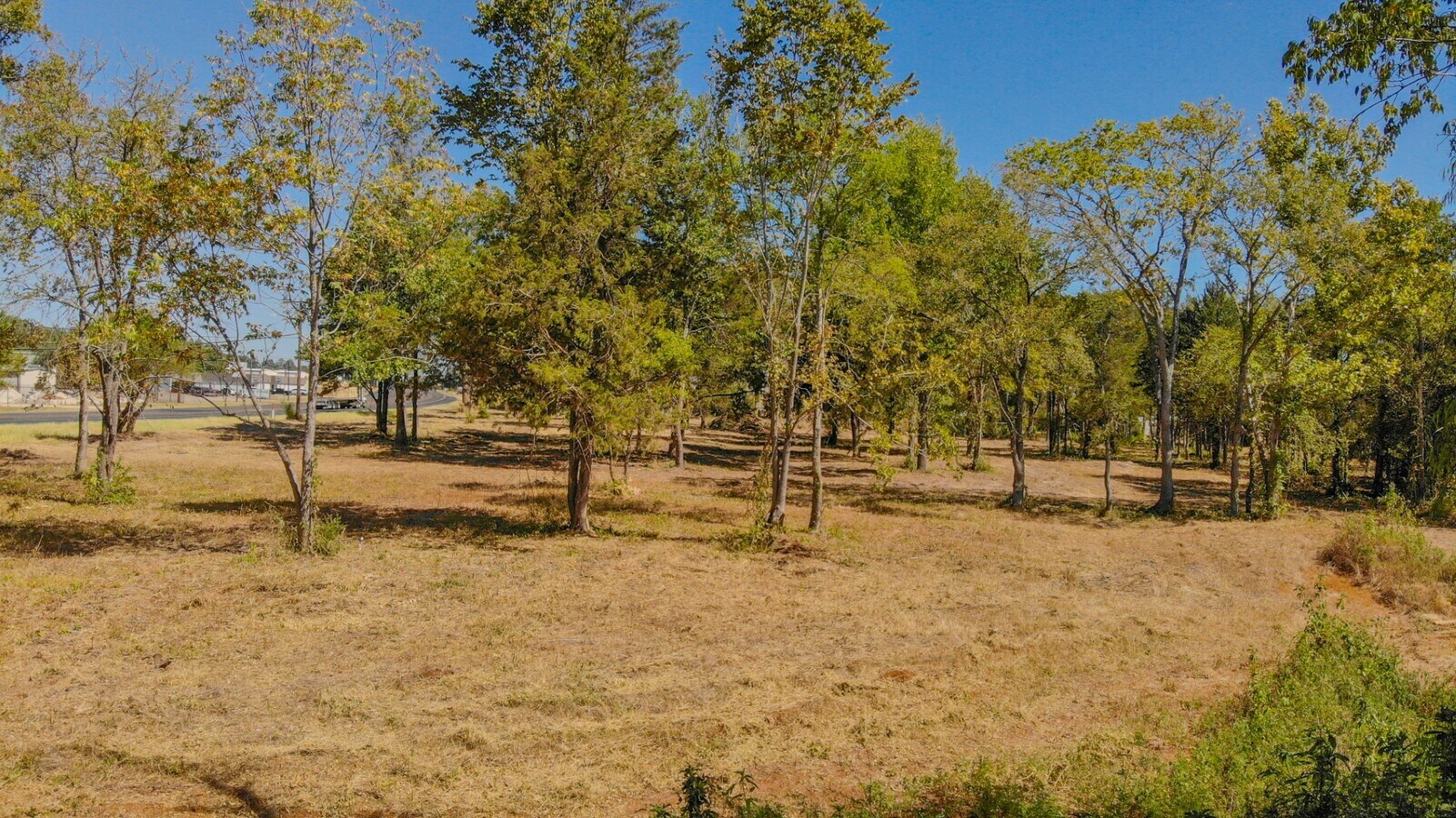 View Photo