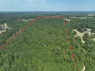 Plus de détails pour TBD CR 1784 ± 49.11, Jefferson, TX - Terrain à vendre