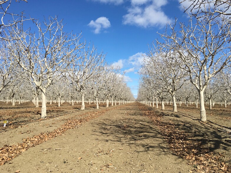 California ave, Firebaugh, CA à vendre - Autre – Image 1 sur 1