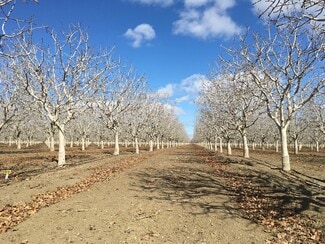 Plus de détails pour California ave, Firebaugh, CA - Terrain à vendre