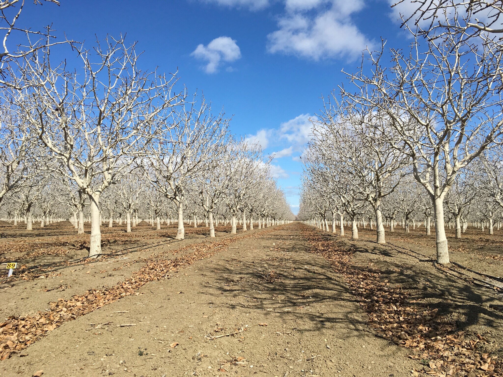 California ave, Firebaugh, CA à vendre Autre– Image 1 sur 2