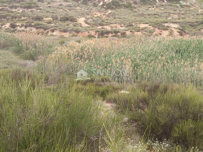 Terrain dans Novelda, Alicante à vendre - Photo principale – Image 2 sur 17
