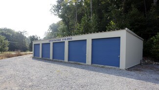 Plus de détails pour 10276 Rhea County Hwy, Dayton, TN - Spécialisé à vendre