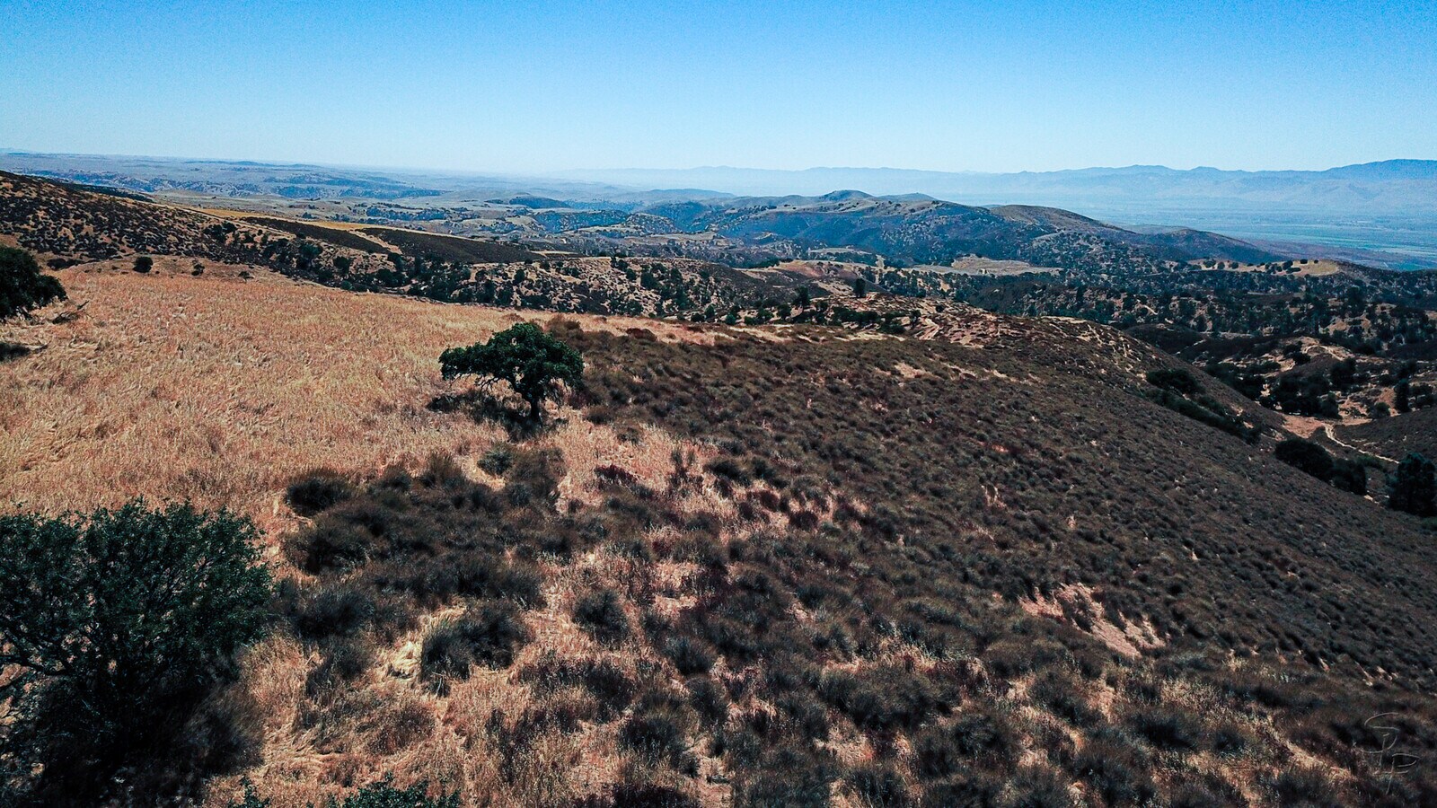 View Photo