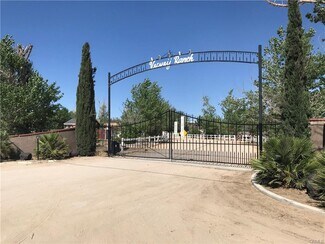 Plus de détails pour 10291 Deep Creek Rd, Apple Valley, CA - Spécialisé à vendre