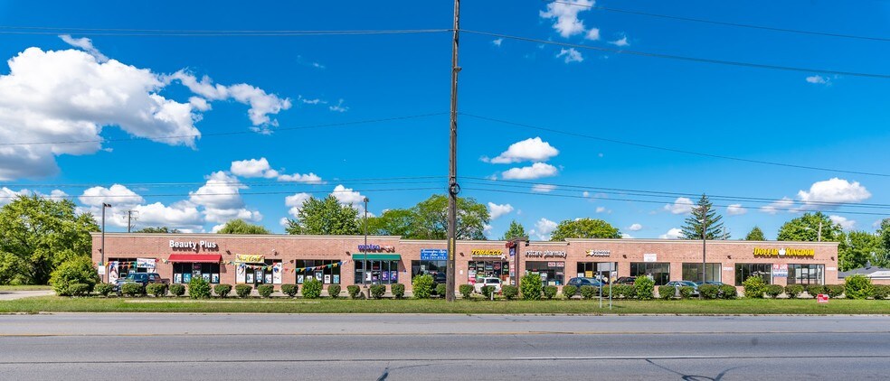203-227 Middlebelt Rd, Garden City, MI à louer - Photo de l’immeuble – Image 1 sur 10
