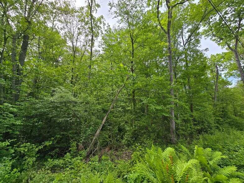 76 Wales rd, Andover, CT à vendre - Photo de l’immeuble – Image 3 sur 11