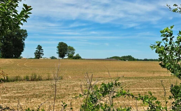 Shands Bottom Road, Senatobia, MS à vendre - Photo principale – Image 1 sur 4