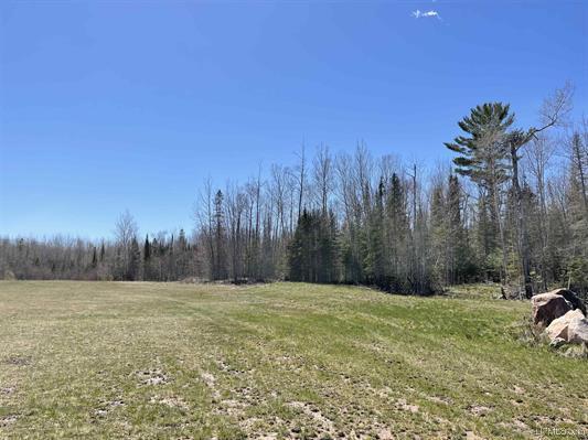 TBD Michigan 28, Deerton, MI à vendre - Photo de l’immeuble – Image 2 sur 3