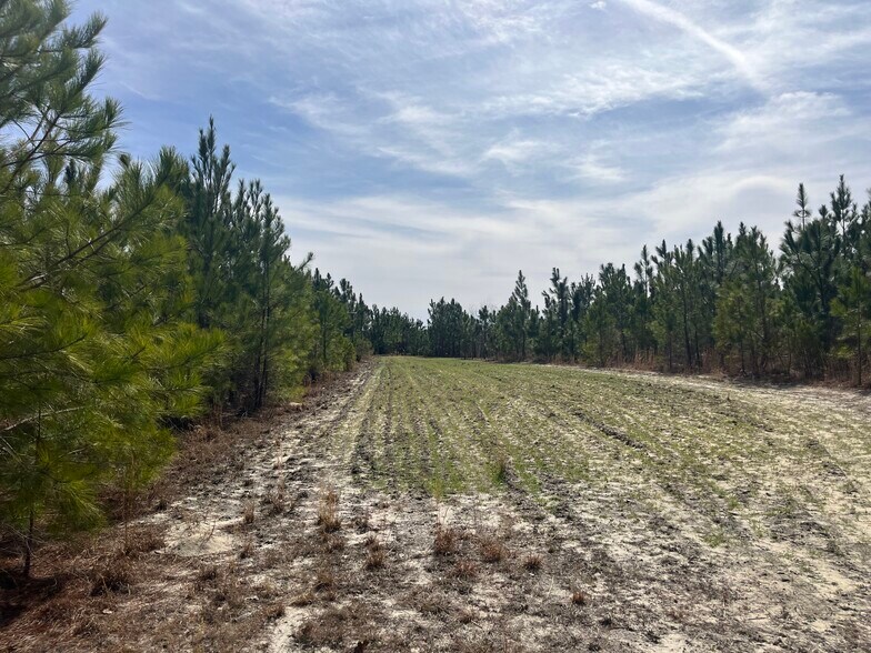 TBD US 15-501 Hwy, Pinehurst, NC à vendre - Photo principale – Image 1 sur 5