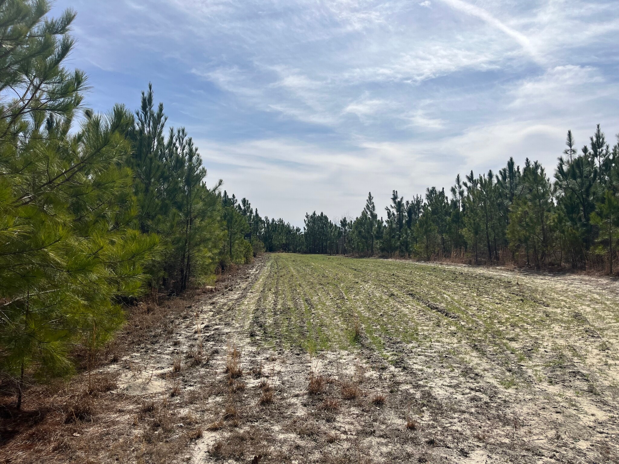 TBD US 15-501 Hwy, Pinehurst, NC à vendre Photo principale– Image 1 sur 6