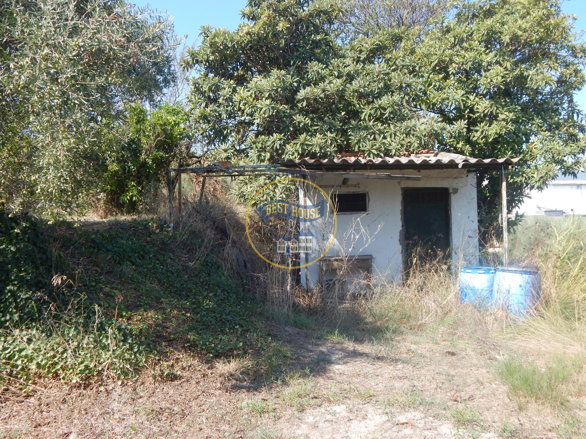 Terrain dans Ontinyent, Valencia à vendre Photo principale– Image 1 sur 23