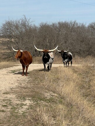 Plus de détails pour 363 County Road 4403, Grandview, TX - Terrain à vendre