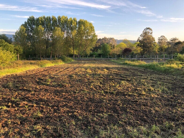 Terrain dans Meis, Pontevedra à vendre - Photo de l’immeuble – Image 2 sur 19