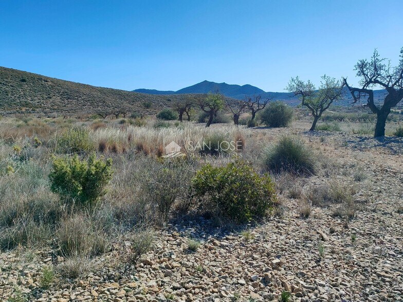 Terrain dans Hondón de los Frailes, Alicante à vendre - Aérien – Image 3 sur 6