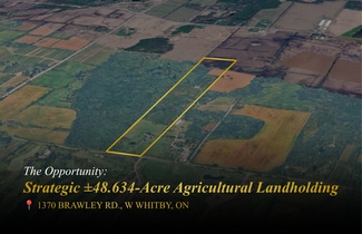 Plus de détails pour 1370 Brawley W rd, Ashburn, ON - Terrain à vendre