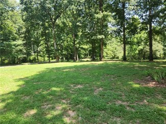 Plus de détails pour 9413 Davis St, Braselton, GA - Terrain à vendre