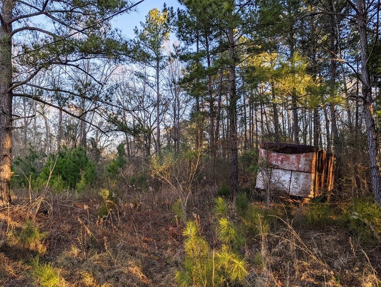 Highway 280 & Highway, Abbeville, GA à vendre - Photo de l’immeuble – Image 3 sur 13