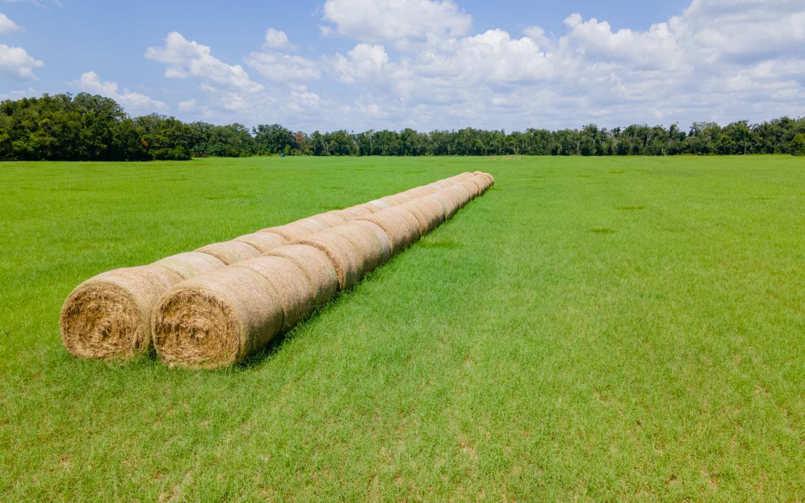 165th Rd, Mcalpin, FL à vendre Photo de l’immeuble– Image 1 sur 15