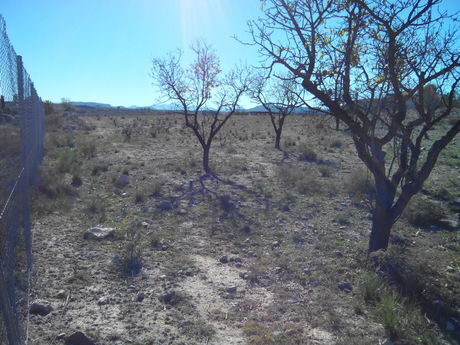 Terrain dans Calasparra, Murcia à vendre - Plan de site – Image 3 sur 4