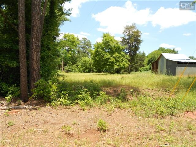 1 St. Peters Church Rd, Chapin, SC à vendre - Photo de l’immeuble – Image 2 sur 4