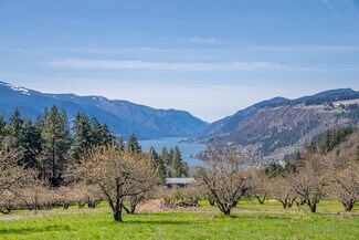 Plus de détails pour SW Cherry Blossom Lane, White Salmon, WA - Terrain à vendre