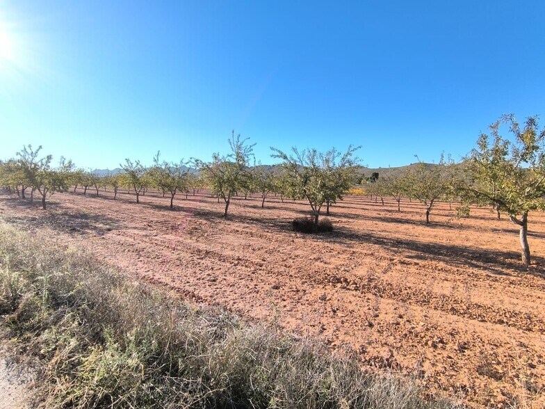 Terrain dans San José, Yecla, Ayuntamiento, MURCIA à vendre - Aérien – Image 3 sur 5