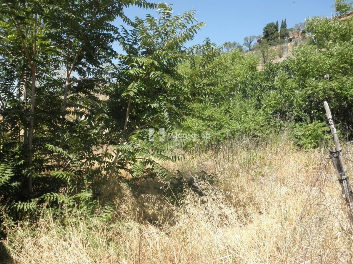 View Photo