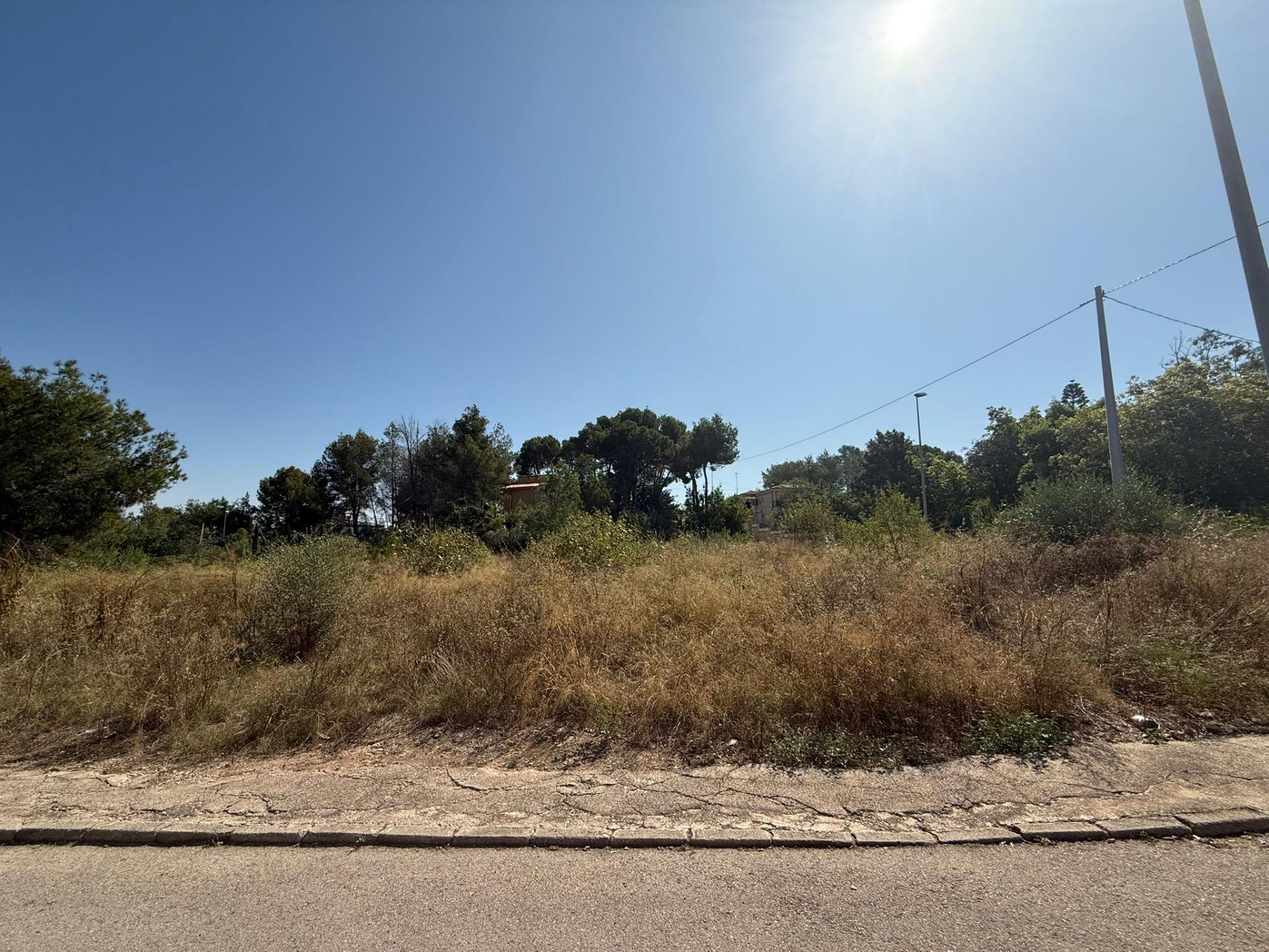 Terrain dans Alberic, Valencia à vendre Photo principale– Image 1 sur 9