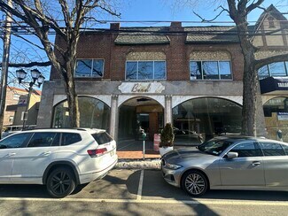 Plus de détails pour 113-117 Middle Neck Rd, Great Neck, NY - Local commercial à louer