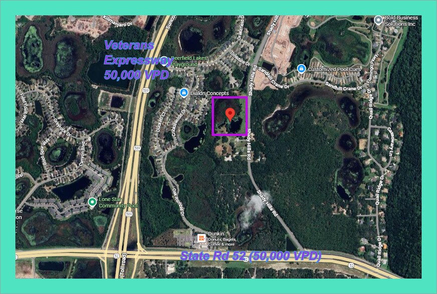 12317-12321 Shady Hills Rd, Spring Hill, FL à vendre - Photo de l’immeuble – Image 3 sur 6