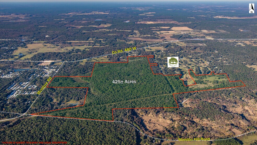 23196 MONDON HILL Rd, Brooksville, FL à vendre - Photo principale – Image 1 sur 3