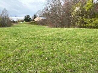 Plus de détails pour 00 Marlowe Drive, Mills River, NC - Terrain à vendre
