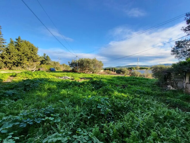 Local d'activités dans Solliès-Ville à vendre - Photo de l’immeuble – Image 3 sur 5