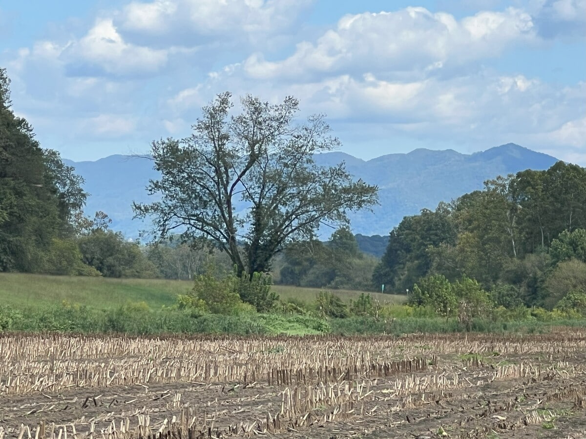 Photo principale
