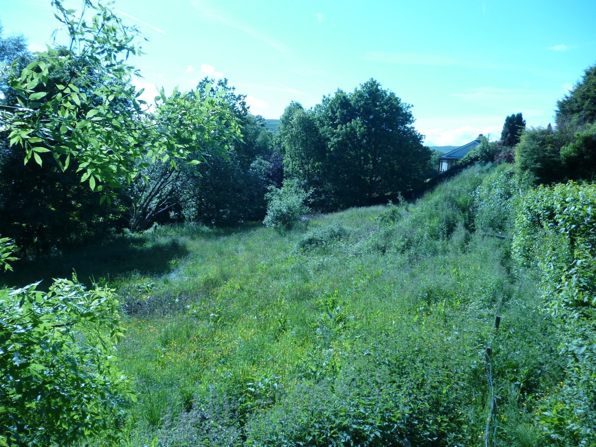 23 Whitaside, Langholm à vendre Photo de l’immeuble– Image 1 sur 3