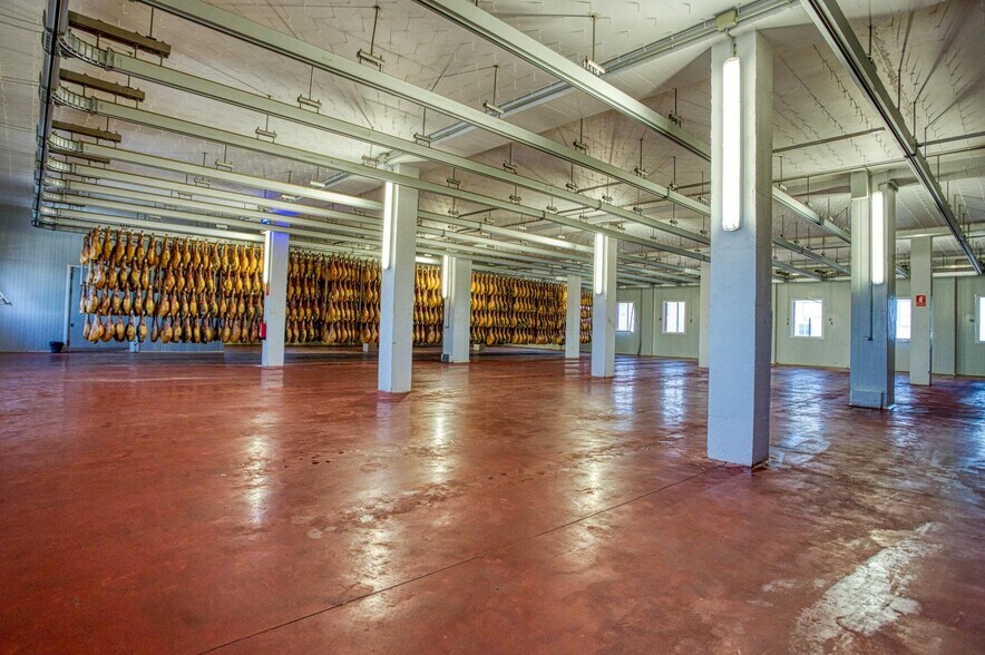 Industriel/Logistique dans Ávila, Ávila à vendre - Photo intérieure – Image 2 sur 31