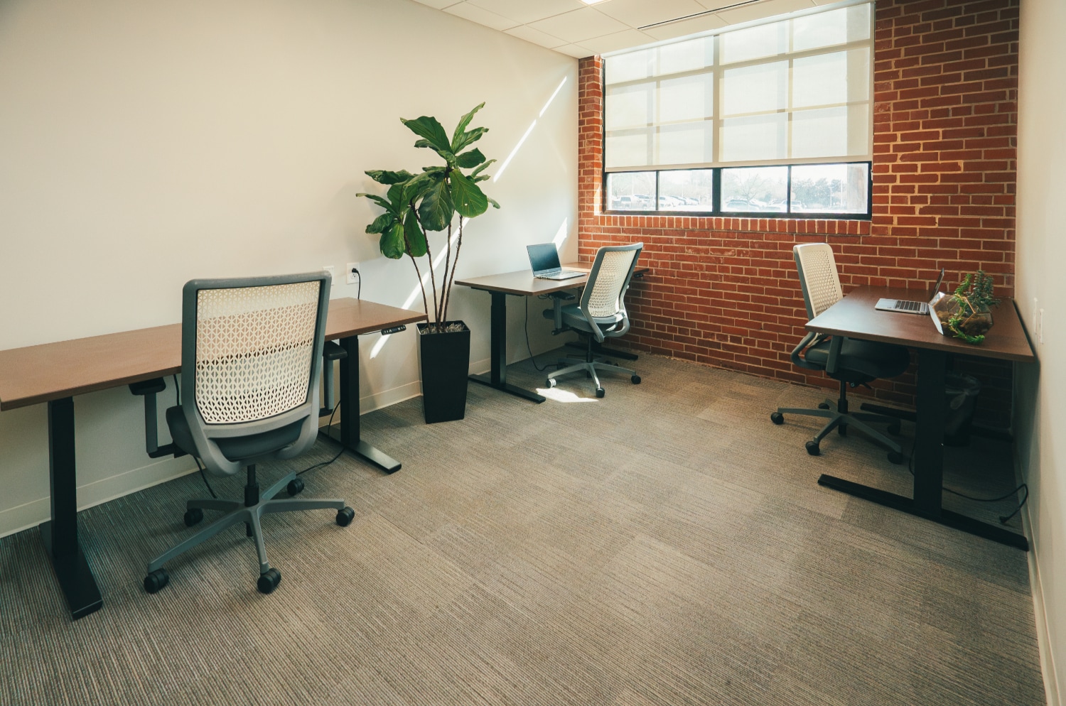 141 Traction St, Greenville, SC à louer Photo intérieure– Image 1 sur 1