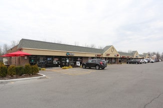 Plus de détails pour 1600-1634 Hopkins Rd, Williamsville, NY - Local commercial à vendre