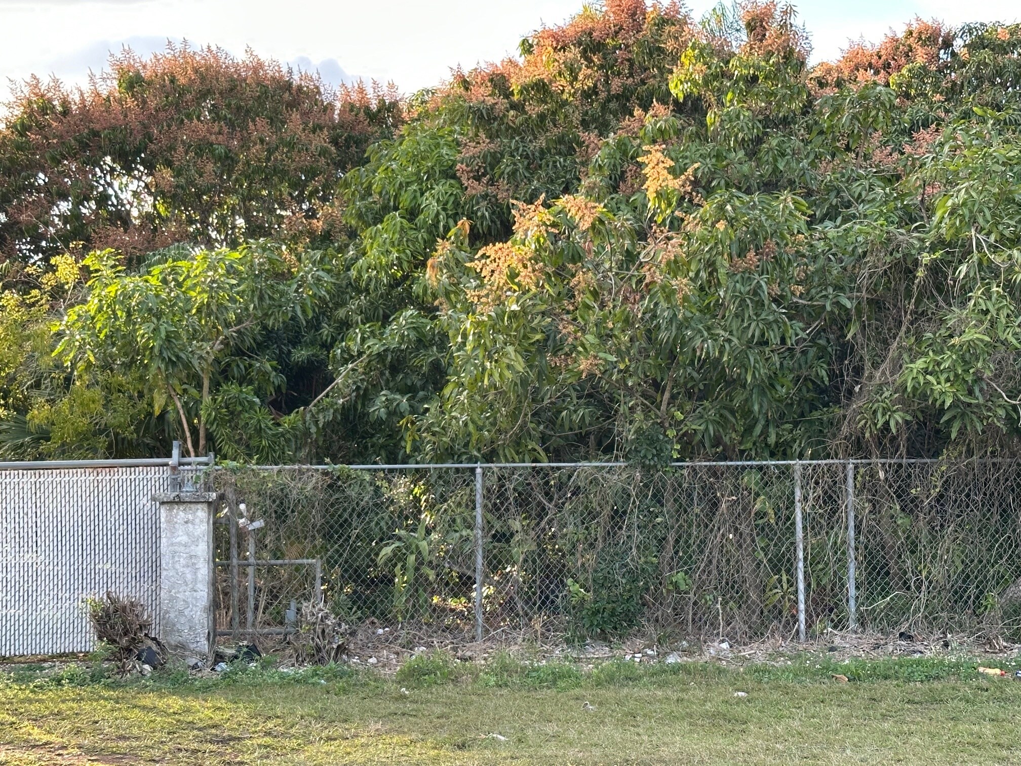 26840 SW 167th Ave, Homestead, FL à vendre Photo de l’immeuble– Image 1 sur 16