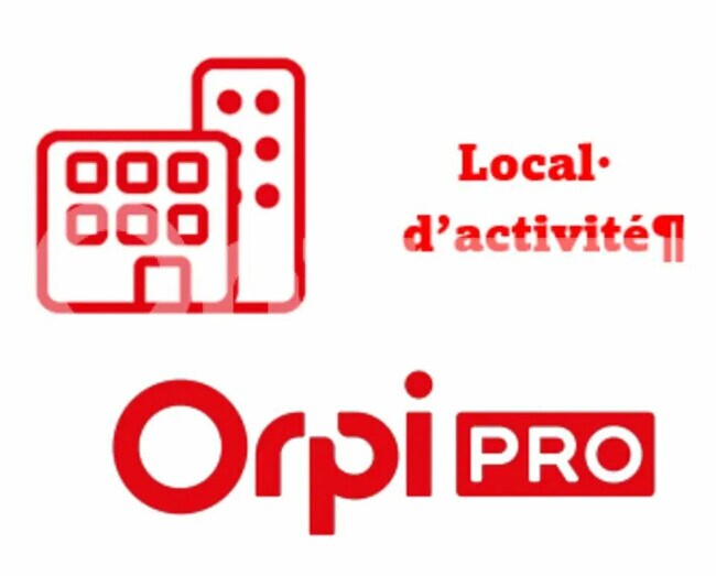 Plus de détails pour Local d’activités à vendre