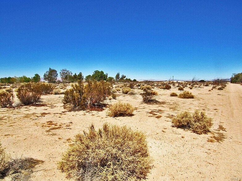 34348 Lakeview Ave, Newberry Springs, CA à vendre - Photo principale – Image 1 sur 4