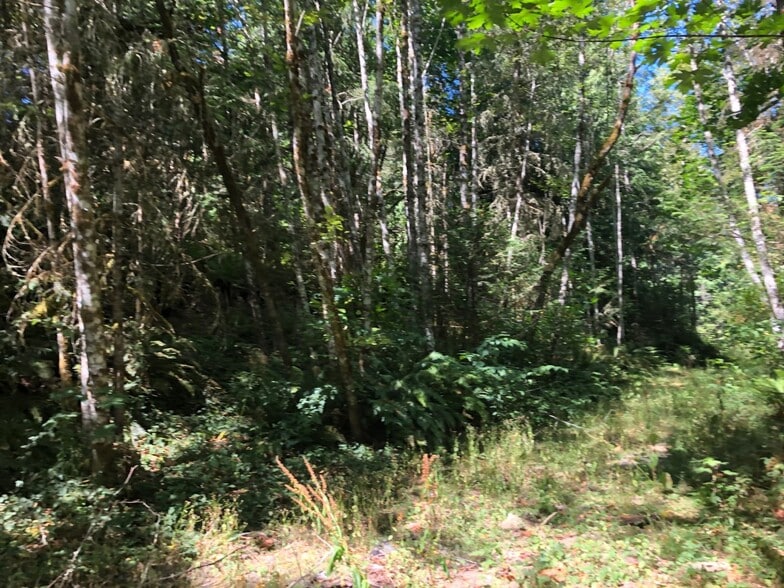 XXX Phillips, Port Orchard, WA à vendre - Autre – Image 2 sur 3