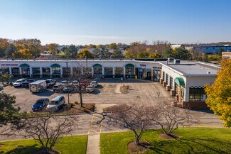 Plus de détails pour 250 S Gary Ave, Bloomingdale, IL - Local commercial à louer